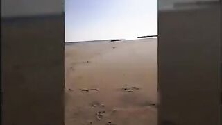 剧情演绎网络节目主持人海边取景勾引寂寞小哥口交后入激情爆草