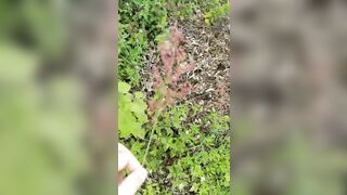 蓝天，白云，极品小萝莉，【户外3P野战】，野外啪啪，粉嫩美乳，蜂腰翘臀，白虎嫩穴，疯狂00后尽情享受性爱快感