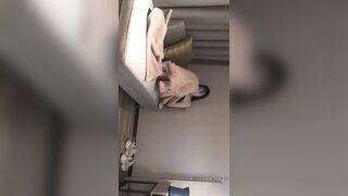 两场卖了3万6人民币【文轩探花】第一场妹子加钟要1800，那就喊来闺蜜继续啪啪，胸大高颜值更好看，高清源码录制