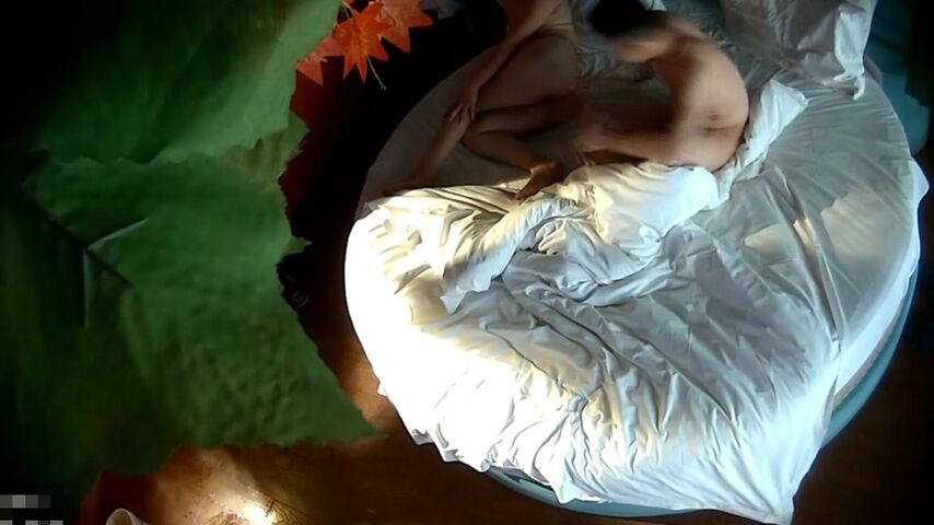 【麻花免费视频】未流出私享服主题酒店针孔TP出轨良家少妇与年轻小伙偸情用震动蛋搞她激情69互舔玩的不亦乐乎