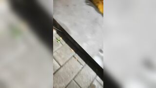 【麻花免费视频】山鸡极品寻花上门快餐肉肉少妇，口硬直接开操张开双腿抽插，翘起大屁股后入晃动奶子，快速打桩射完走人