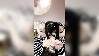 【麻花免费视频】性感酒吧舞女爆操性爱玩弄骑乘美乳晃动