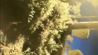 【麻花免费视频】真实母子乱伦_济南妈妈带高考结束的儿子溜公园_还干上了