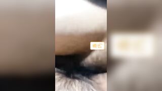 【麻花免费视频】浙江金华99年巨乳姐弟乱伦，清晨给熟睡的弟弟口交无套内射