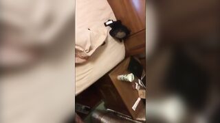 91puppydog后入极品女神网袜健身女教练720P高清无水印完整版