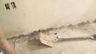 【强奸】女朋友去工地找男友，男友不在，可怜的女朋友被工友强奸了